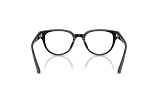 Rückansicht Jimmy Choo JC3051D (5000)