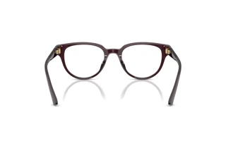 Rückansicht Jimmy Choo JC3051D (5086)