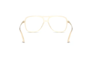 Rückansicht Jimmy Choo JC3052U (5089)