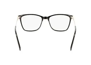 Rückansicht Longchamp LO2674 (001)