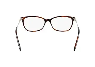 Rückansicht Longchamp LO2675 (226)