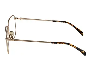 Seitenansicht Maje 423023 (403)