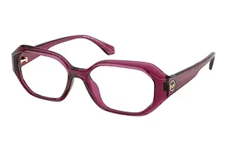 Michael Kors MK4147U 4020 Berry Transparent