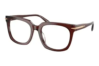 Michael Kors MK4176U 3401 Brown Transparent