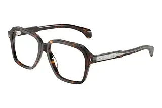 Moncler ME2010 3002 Shiny Dark Havana