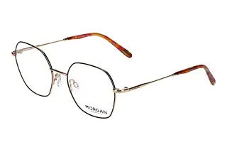 Morgan 203243 5100 Braun