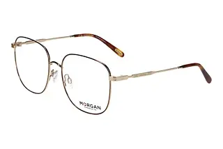 Morgan 203258 5100 Braun