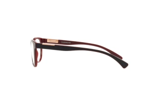 Seitenansicht Oakley PLUNGELINE (OX8146 - 814604)