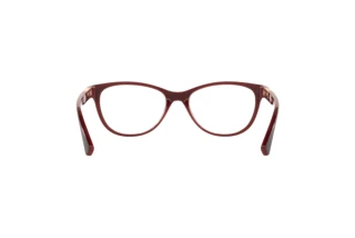 Rückansicht Oakley PLUNGELINE (OX8146 - 814604)