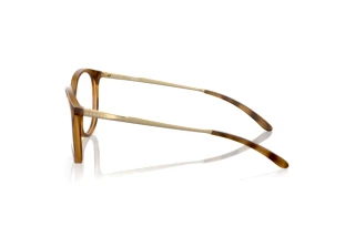 Seitenansicht Oakley BMNG (OX8150 - 815002)