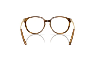 Rückansicht Oakley BMNG (OX8150 - 815002)