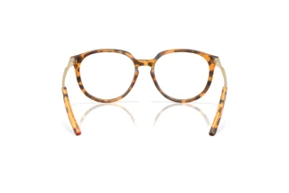 Rückansicht Oakley BMNG (OX8150 - 815007)