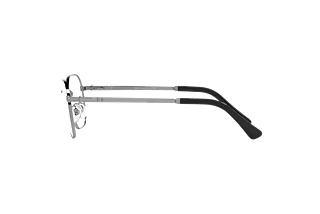 Seitenansicht Persol PO1010V (513)