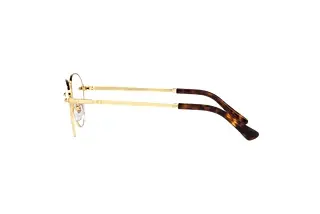 Seitenansicht Persol PO2491V (1142)