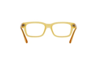 Rückansicht Persol PO3301V (204)