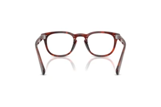 Rückansicht Persol GIANNI (PO3406V - 1242)
