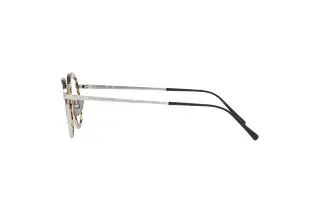 Seitenansicht Persol PO5009VT (8014)