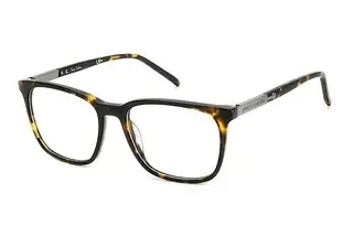 Pierre Cardin P.C. 6253 086 HAVANNA