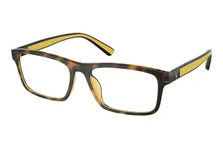 Polo PH2274U 5003 Shiny Havana