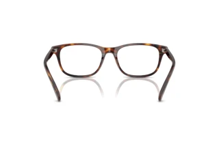 Rückansicht Polo PH2280 (6137)