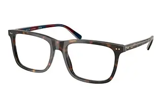 Polo PH2282 6213 Shiny Dark Havana