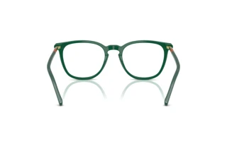 Rückansicht Polo PH2288 (5421)