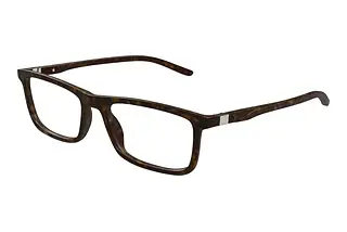Puma PU0491O 005 HAVANA