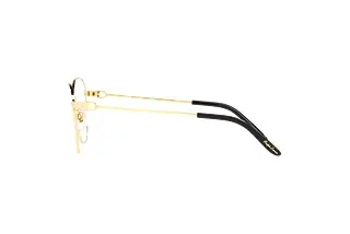 Seitenansicht Ralph Lauren RL5117 (9004)