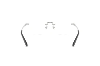 Rückansicht Ralph Lauren RL5134 (9001)