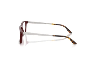 Seitenansicht Ralph Lauren RL6128 (6311)