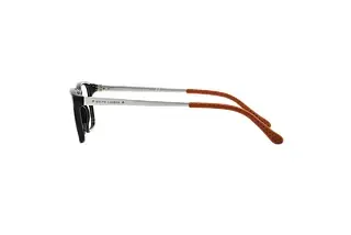 Seitenansicht Ralph Lauren RL6134 (5001)