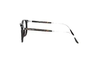 Seitenansicht Ralph Lauren RL6196P (5003)