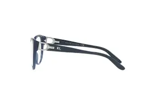 Seitenansicht Ralph Lauren RL6223B (5377)