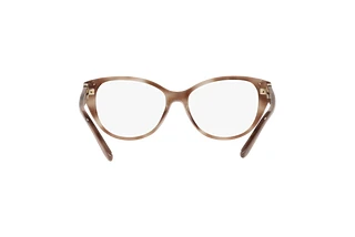 Rückansicht Ralph Lauren RL6223B (6020)