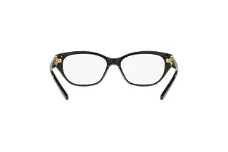 Rückansicht Ralph Lauren RL6227U (5001)