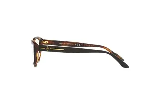 Seitenansicht Ralph Lauren RL6228U (5260)