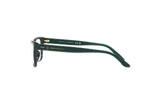 Seitenansicht Ralph Lauren RL6229U (5421)