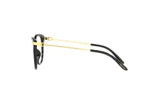Seitenansicht Ralph Lauren RL6231U (5001)