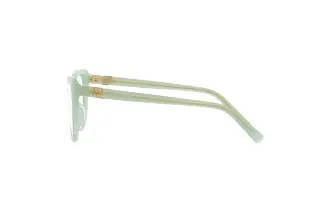 Seitenansicht Ralph Lauren RL6232U (6082)