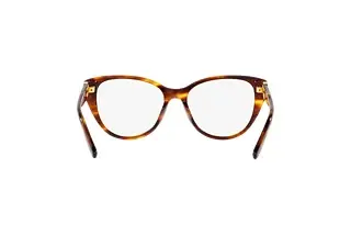 Rückansicht Ralph Lauren RL6234BU (5007)