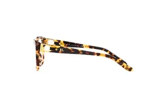 Seitenansicht Ralph Lauren RL6235QU (5004)