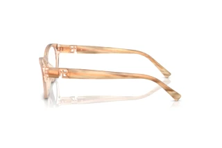 Seitenansicht Ralph Lauren RL6237U (6110)