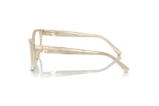 Seitenansicht Ralph Lauren RL6238U (6107)