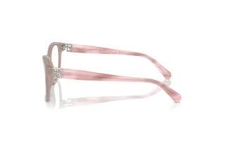 Seitenansicht Ralph Lauren RL6243 (6183)