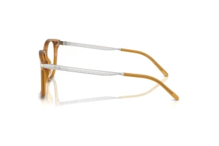 Seitenansicht Ralph Lauren RL6248U (5275)