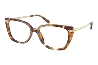 Ralph Lauren RL6250U 6056 Havana