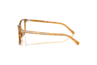 Seitenansicht Ralph Lauren RL6264U (6185)