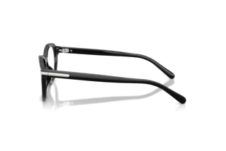 Seitenansicht Ralph Lauren RL6267U (5001)
