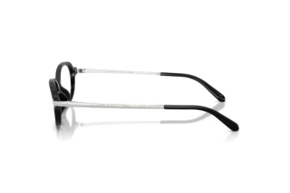 Seitenansicht Ralph Lauren RL6269U (5001)