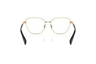 Rückansicht Ralph RA6060 (9443)
